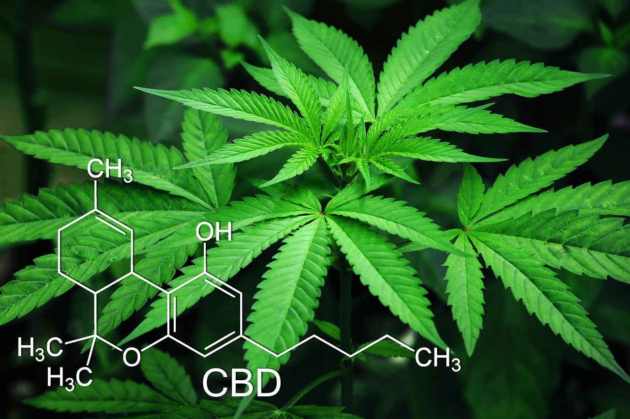 Superfood CBD gegen viele Beschwerden